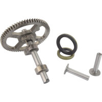 Detailansicht der Briggs & Stratton Nockenwelle mit Dekompressionsmechanismus für Rasentraktor und Aufsitzmäher