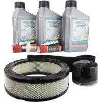 Wartungsset für Briggs & Stratton Vanguard...
