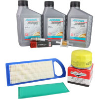 Wartungsset für Briggs & Stratton Intek Motoren...